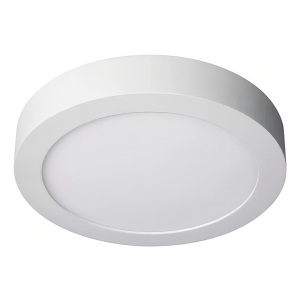 Plafon Techo Led 18w Redondo Spot Luz Led Excelente 20cm Color Blanco