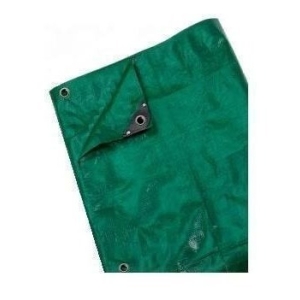 Lona De Pvc Reforzada Verde 3mt X 4mt Codigo Lr3x4