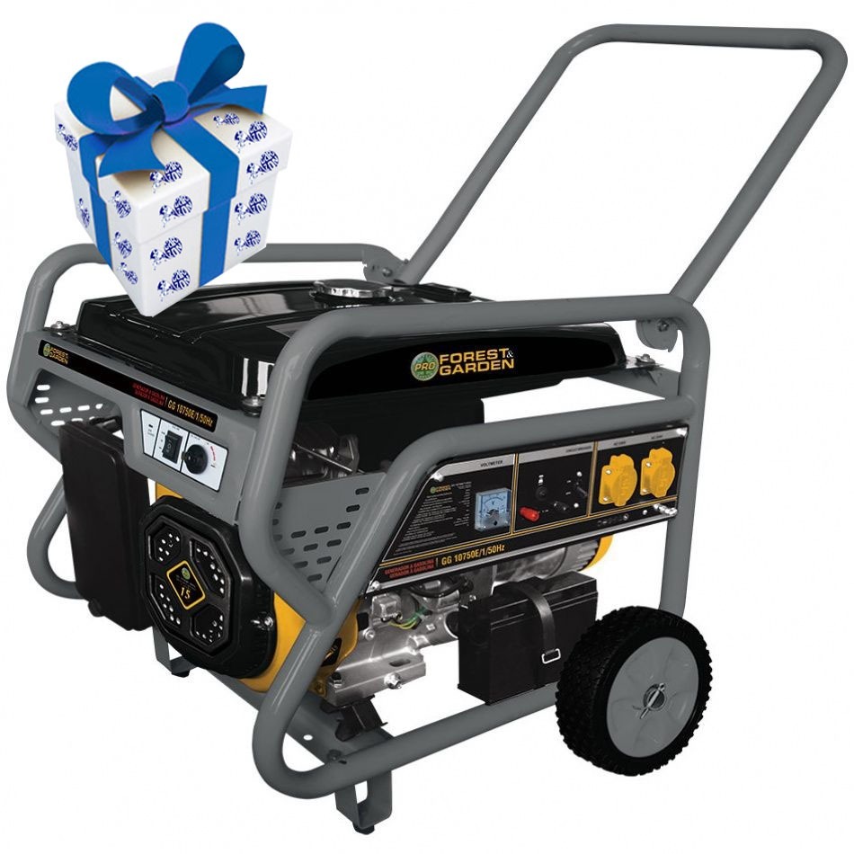 Generador A Gasolina Forest Garden 6.8kw Gg10750e