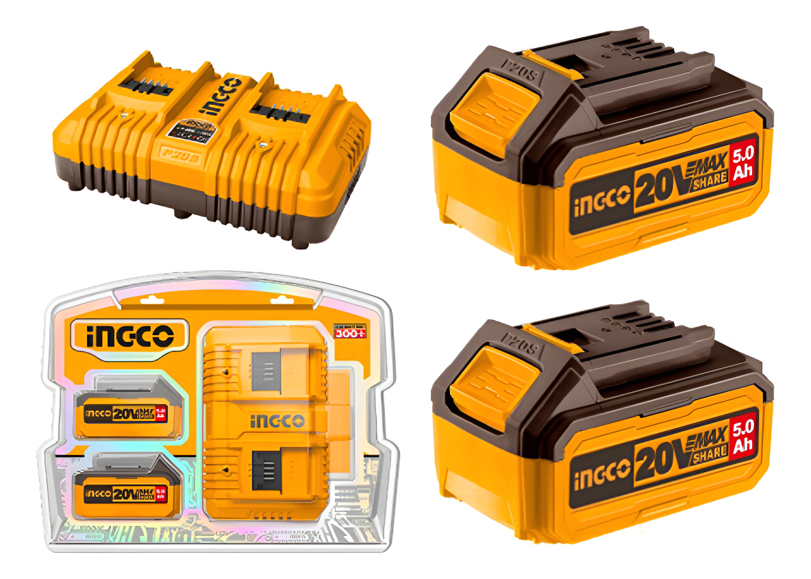 Set X 2 Baterias 20v 5amp + 1 Cargador Ingco Fbcpk2425